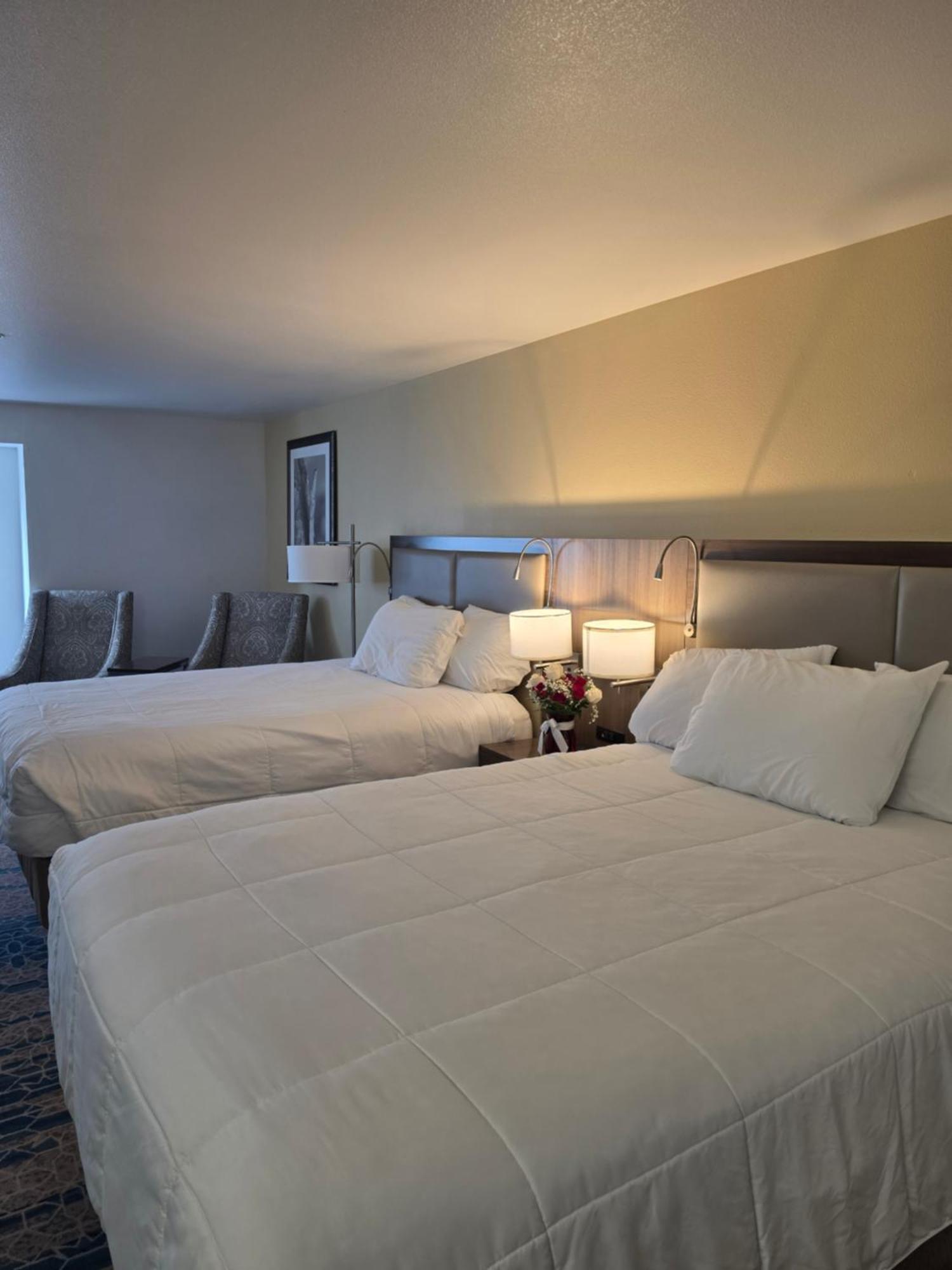 Queen Room Two Queen Beds